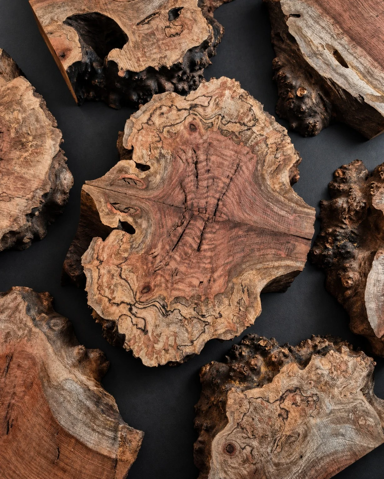 Organic figured burl slices and naturally contoured root wood on dark charcoal surface